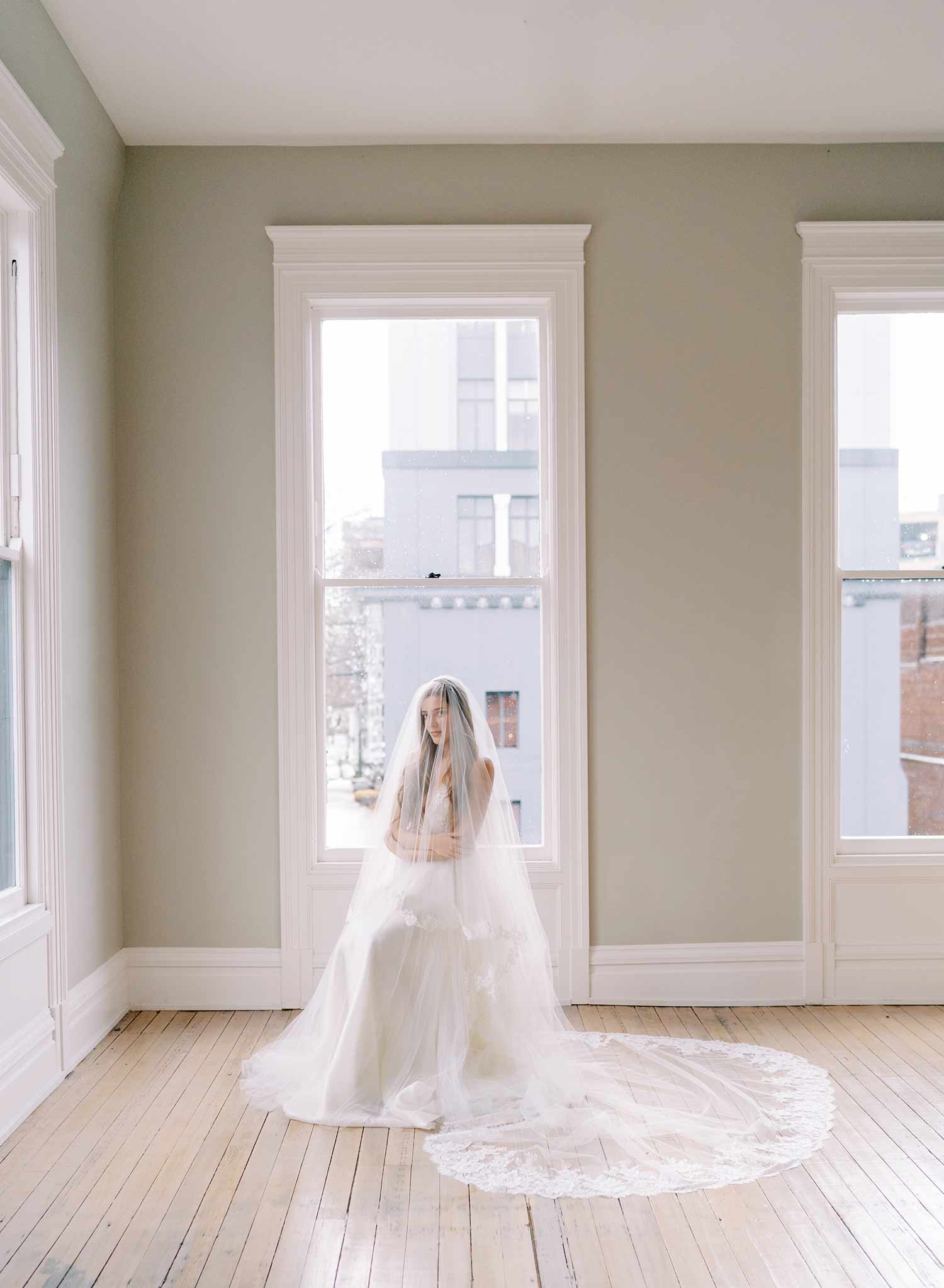 long french lace tulle bridal veil with blusher, twigs and honey