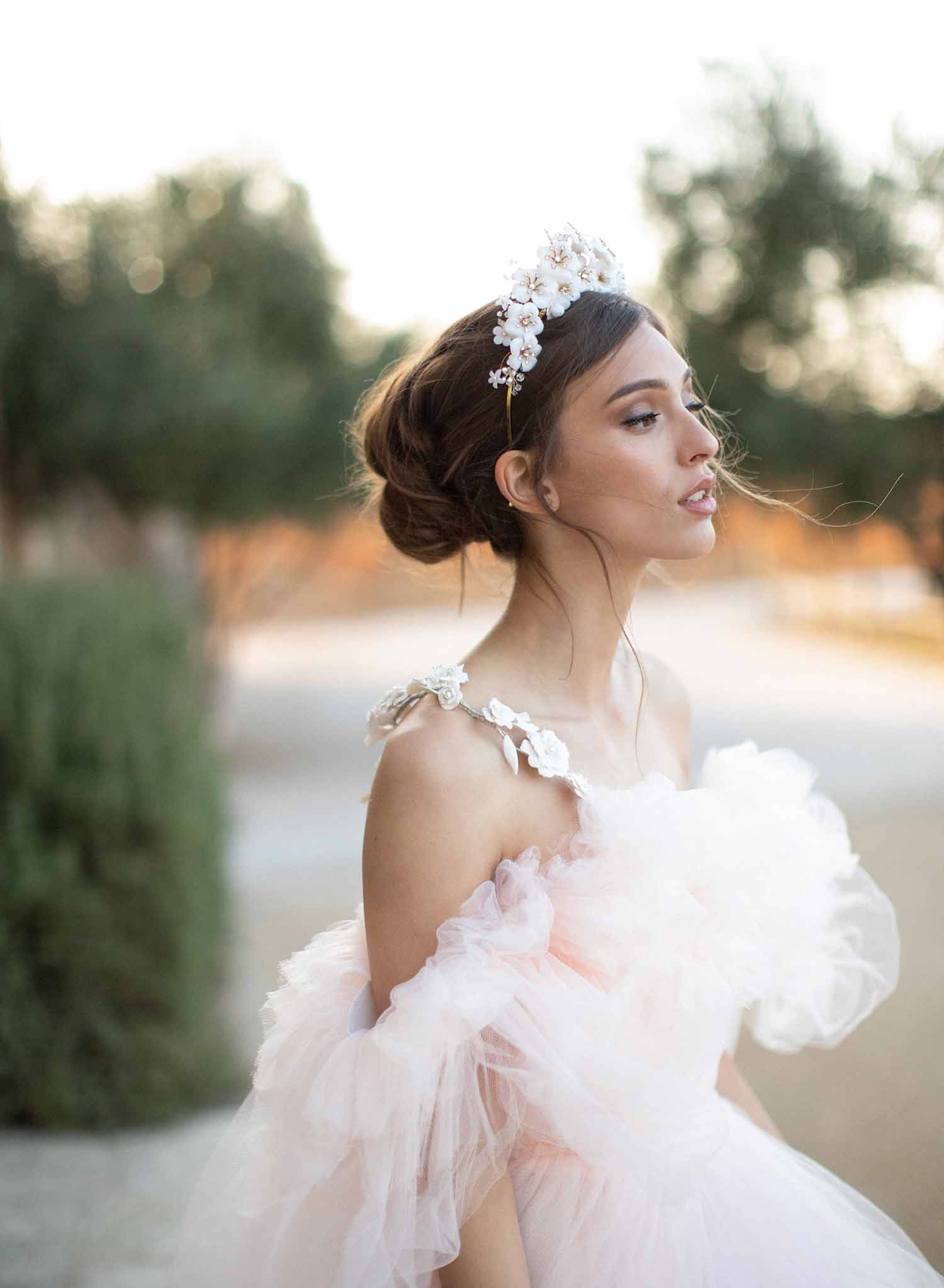 bridal crown, tiara of flowers, crystals, twigs & honey headband