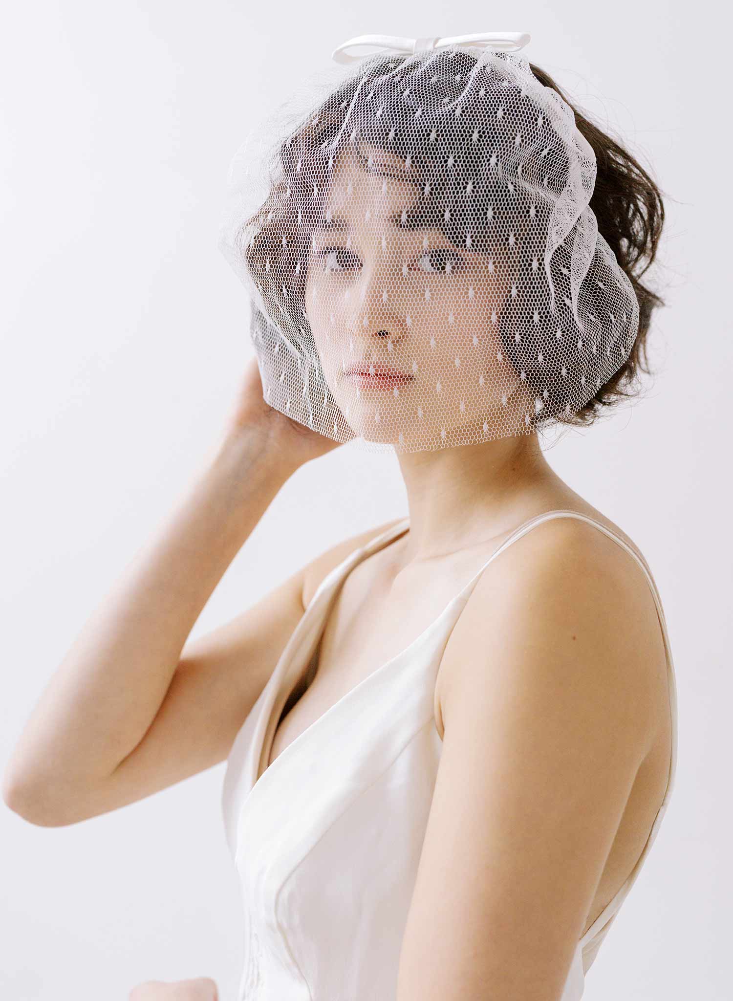Twigs & Honey Crystal Bridal Birdcage Veil Headband - Ultra Luxe Crystal Bridal Birdcage Headband Veil - Style #2349 White