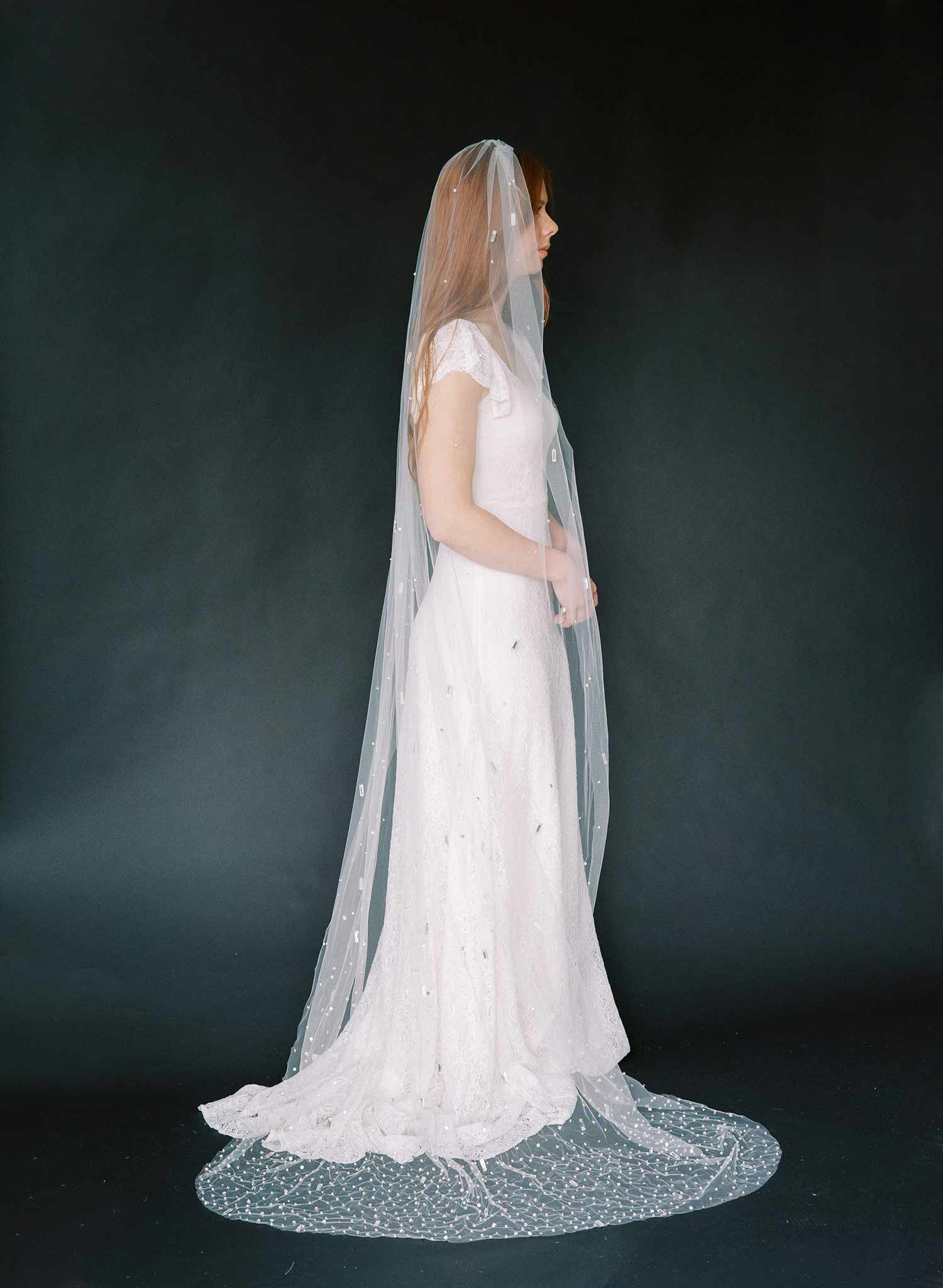 Hand embroidered crystal bridal train veil by twigs and honey