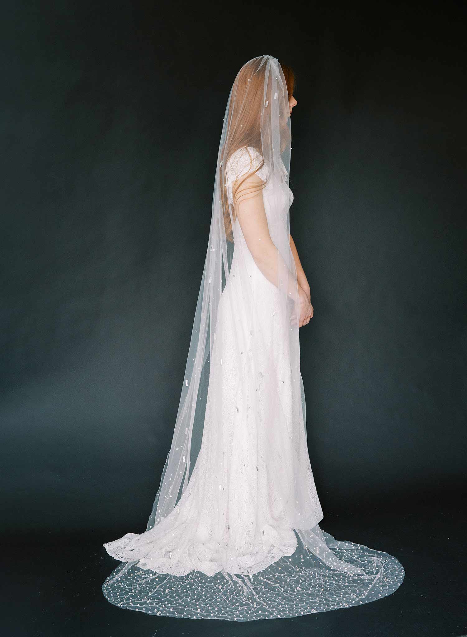 Hand embroidered crystal bridal train veil by twigs and honey