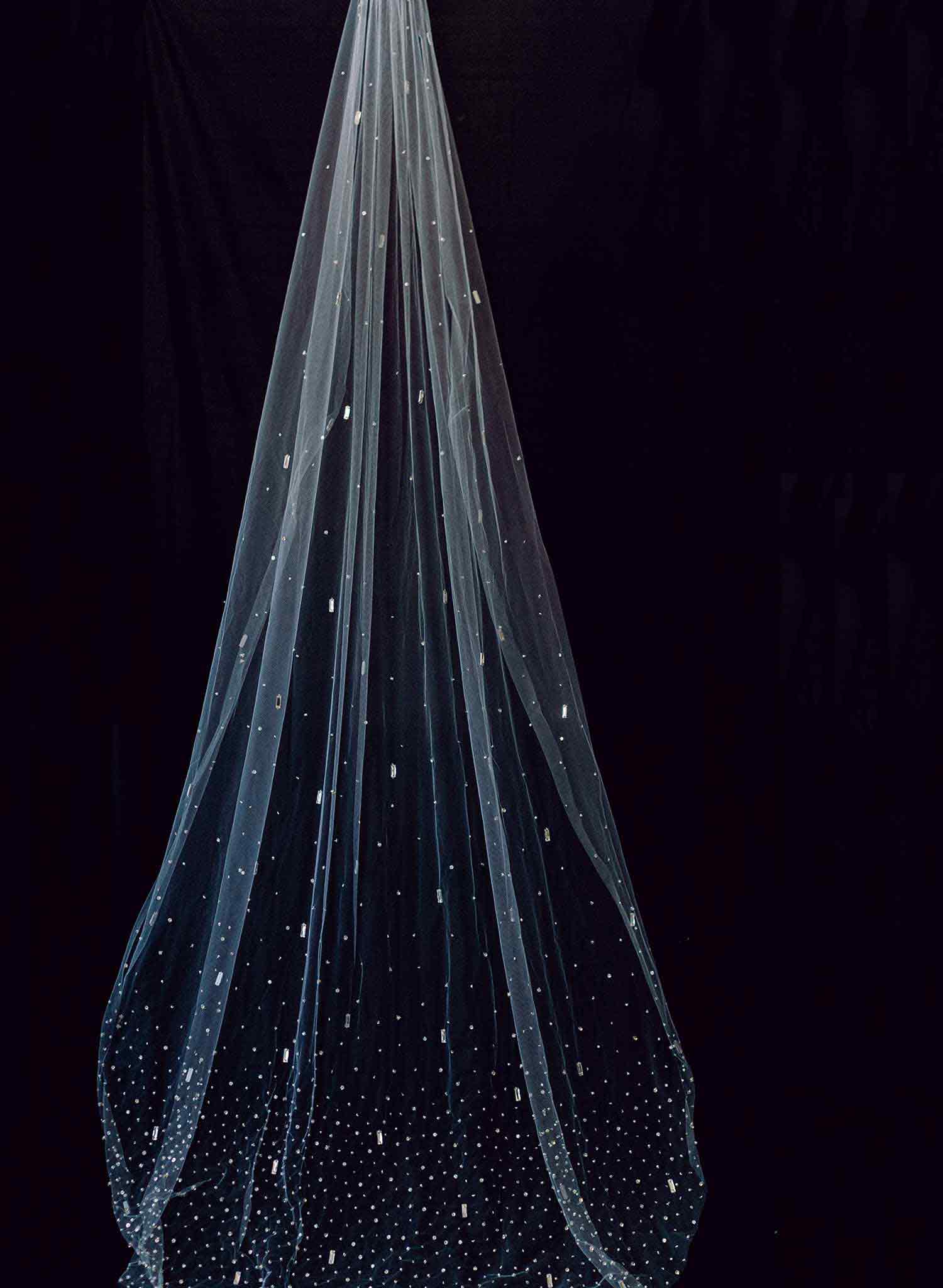 Hand embroidered crystal bridal train veil by twigs and honey