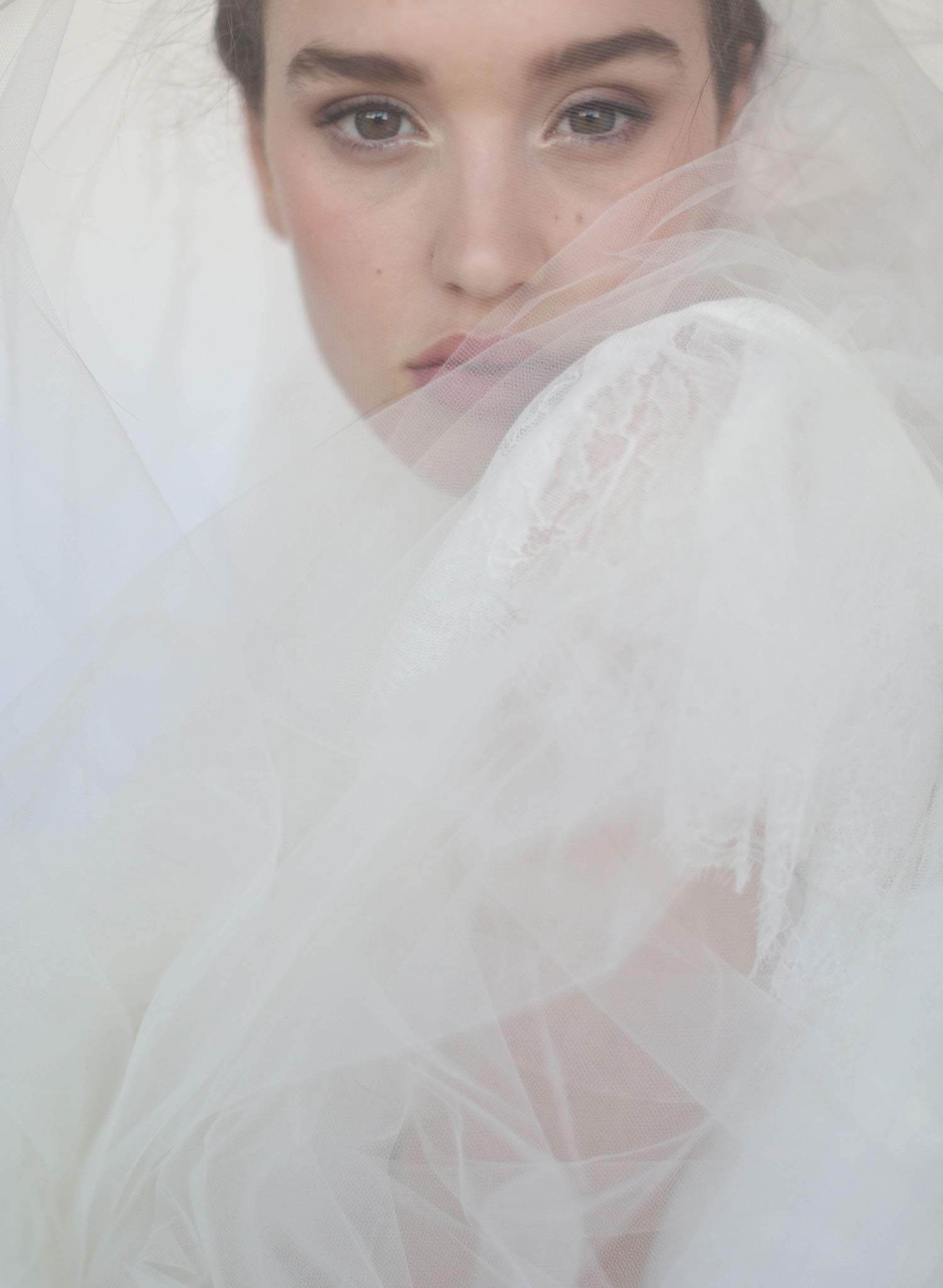 Cathedral veil, twigs and honey, extra wide veil