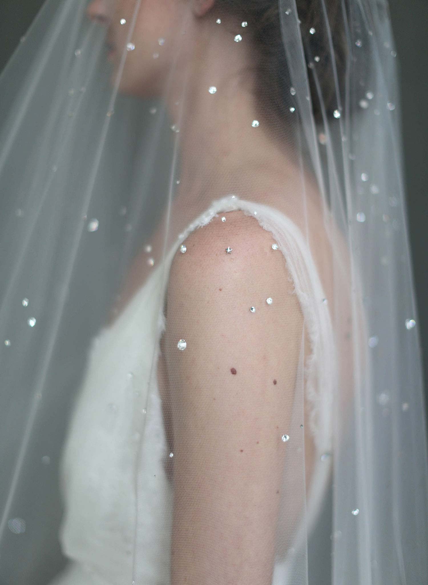 Crystal Veil, Swarovski Rhinestone Veil, Wedding Veil with crystals from  Sydney Australia – MWBRIDALSTORE