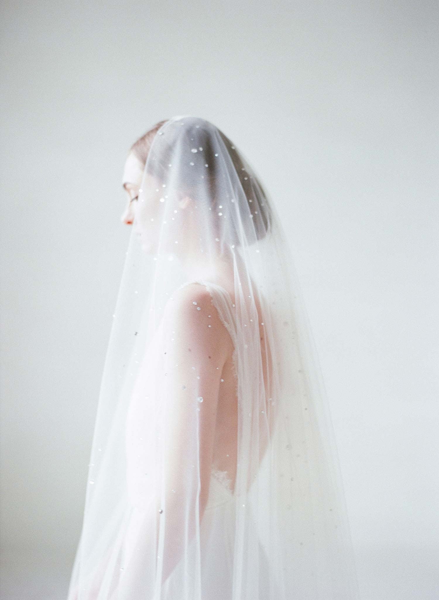 Cathedral Bridal Veil Applique Elegant Wedding Ivory White Branch Lace Veil
