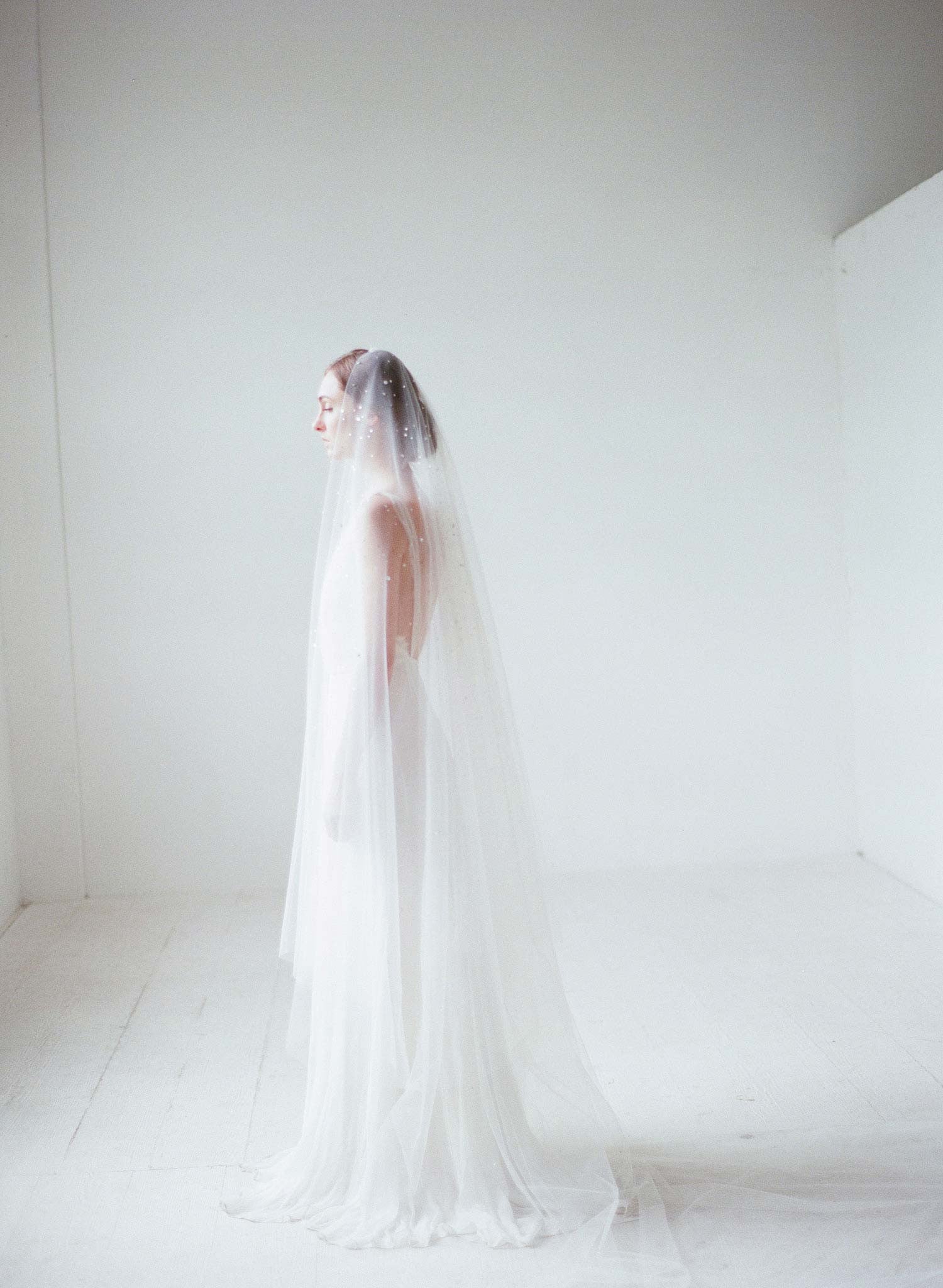 Crystal Chapel Wedding Veil by Twigs and Honey - Crystal Confetti Train Bridal Veil - Style #2062