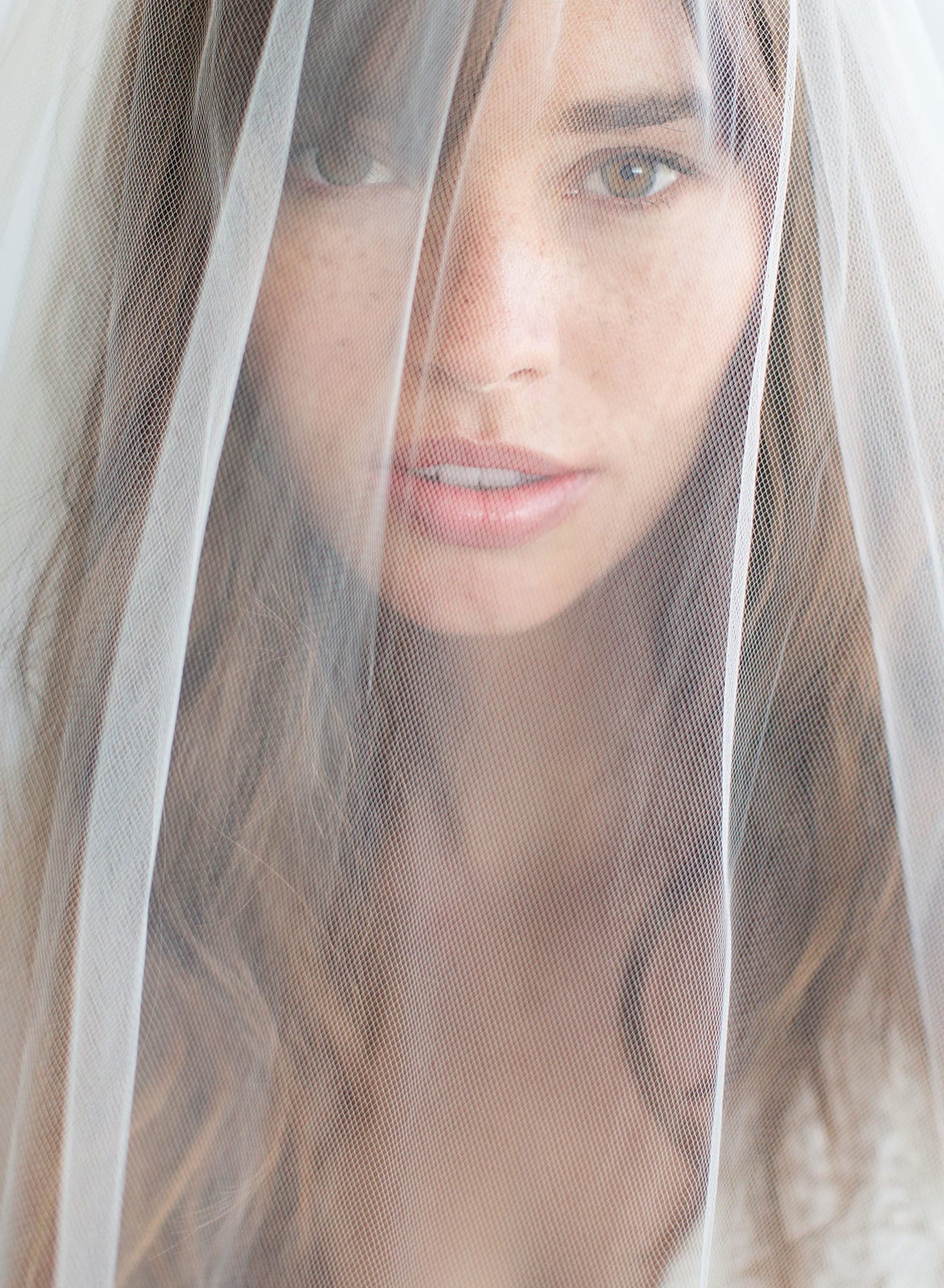 2 piece wedding veil, bridal veil, blusher veil, wedding accessory, vintage inspired, twigs and honey